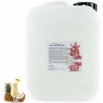 PM Aqualog esence do parních kabin pina colada 868-005/D 5 l – Hledejceny.cz