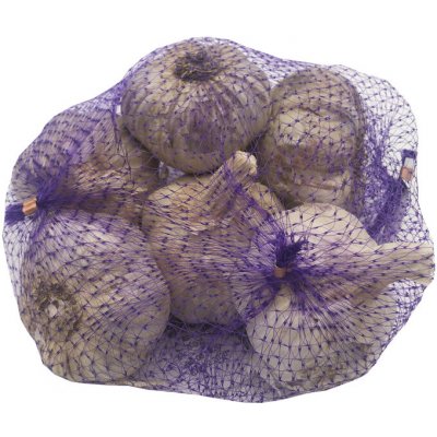 AgroBio Sadbový česnek Topaz 20 ks – Zboží Dáma