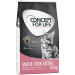 Concept for Life Maine Coon Kitten 2 x 10 kg – Hledejceny.cz