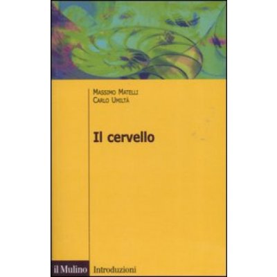 cervello. Anatomia e funzione del Sistema nervoso centrale – Hledejceny.cz