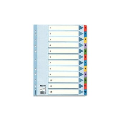 Esselte Mylar - kartonový rozlišovač - 12 listů, se štítky 1-12 – Zboží Dáma