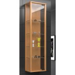 Vitrína VCM Stano Mini – Zboží Dáma