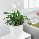 Lechuza Květináč Classico Color Bílá 21 cm – Hledejceny.cz