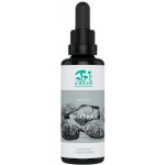 Kääpä Mushrooms Shiitake BIO tinktura 30 ml – Hledejceny.cz