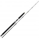 Daiwa BG Sea Jigger 1,7 m 150-400 g 1+1 díl