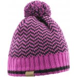Salomon BACK COUNTRY beanie rose violet black – Hledejceny.cz