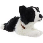 Pes border kolie – Sleviste.cz