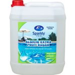 Sparkly POOL Algicid extra 10 l – Zboží Dáma