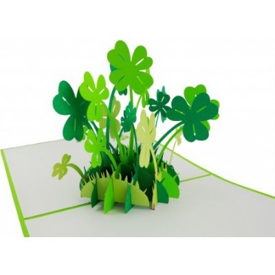 3D přání - Čtyřlístek pro štěstí – Zboží Dáma