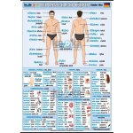 nakladatelství Kupka Lidské tělo v němčině XL (100x70 cm) – Sleviste.cz