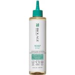 MATRIX BIOLAGE Scalp Sync Purifying Scalp Concentrate 200 ml – Hledejceny.cz