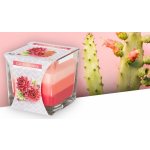 Bispol Aura Cactus Flower 170 g – Hledejceny.cz