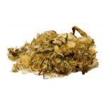 Salvia Paradise Pampeliška lékařská květ 1 kg – Sleviste.cz