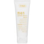 Ziaja Men Mountain Pepper balzám po holení 80 ml – Zboží Dáma