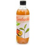 Stevikom Kombucha Bílý čaj Bio Broskve 0,5 l – Zboží Dáma