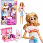 Mattel Barbie Cestovní sada se štěnětem HJY18 – Zboží Dáma