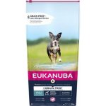 Eukanuba Dog Senior Small & Medium Lamb & Rice 12 kg – Sleviste.cz