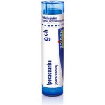 IPECACUANHA POR 9CH GRA 1X4G – Hledejceny.cz