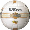 Wilson Endless Summer Kit