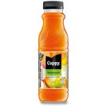 Cappy Džus multivitamin 52% 12 x 330 ml – Hledejceny.cz