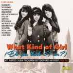 What Kind Of Girl Various - What Kind Of Girl CD – Zbozi.Blesk.cz