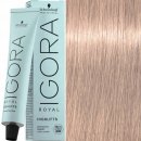 Schwarzkopf Igora Royal Highlifts 12-19 speciální blond popelavá fialová 60 ml