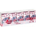 Maják Lizy 3-vrstvé papírové kapesníčky 10 x 10 ks – Zboží Dáma