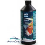 AquaForte Lactid 1 l – Zboží Mobilmania