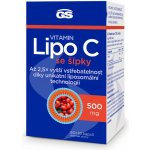 GS Vitamin Lipo C 500 mg se šípky XXL 110 kapslí – Hledejceny.cz