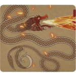 Razer Gigantus V2 Large Counter-Strike 2 Edition RZ02-03333300-R3M1 – Zbozi.Blesk.cz