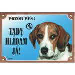 Dafiko Tabulka bígl – Sleviste.cz