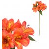 Květina Alstromérie, oranžová barva KUL003 OR