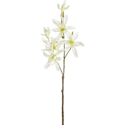 Magnolie japonská spray (x11) bílá v78 cm (FB203935100)