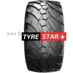 Alliance 389 Agriflex 600/55-26,5 167D TL – Hledejceny.cz