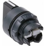 Schneider Electric ZB5AD2 – Sleviste.cz