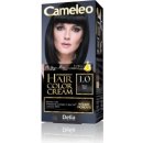 Delia Cameleo barva na vlasy 1.0 černá