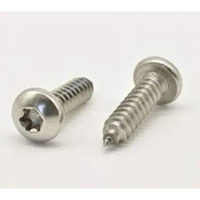 Šroub DIN 7981C nerez A4 4,8x25 Torx – Hledejceny.cz