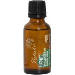 Natasha Bio esenciální olej Eukalypt 30 ml – Hledejceny.cz