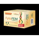 FytoFEM Iconti Forte 90 tablet – Hledejceny.cz