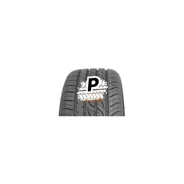 Osobní pneumatika Autogrip P308 195/65 R15 91V