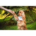 Vsepropejska Sofi šátek pro psa – Hledejceny.cz