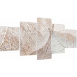 Obraz - Béžové listy, pětidílný 150x80 cm – Hledejceny.cz