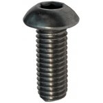 Hahn Steel Imbusový šroub s hřibovitou hlavou M8 x 20 mm, AISI 304 – Hledejceny.cz