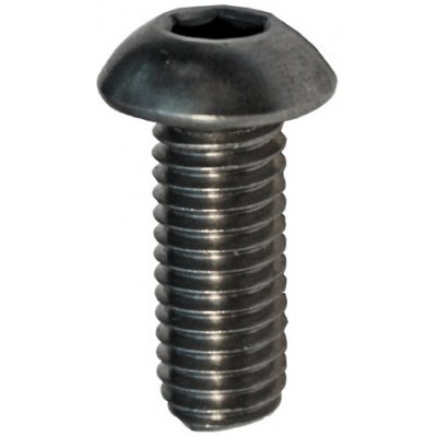 Hahn Steel Imbusový šroub s hřibovitou hlavou M8 x 20 mm, AISI 304 – Hledejceny.cz