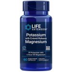 Life Extension Potassium with Extend-Release Magnesium 60 vegetariánská kapsle – Hledejceny.cz