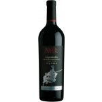 Cantine di Soave Valpolicella Superiore Ripasso 2017 14% 0,75 l (holá láhev) – Hledejceny.cz