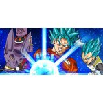 Dragon Ball Xenoverse 2 – Hledejceny.cz