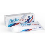 FLECTOR EP DRM 10MG/G GEL 100G – Sleviste.cz