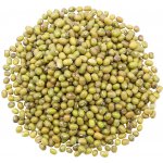 Vital Country Fazole mungo 1 kg – Zboží Dáma