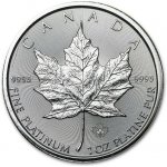 Royal Canadian Mint Platinová mince Maple Leaf 2024 1 oz – Zboží Dáma